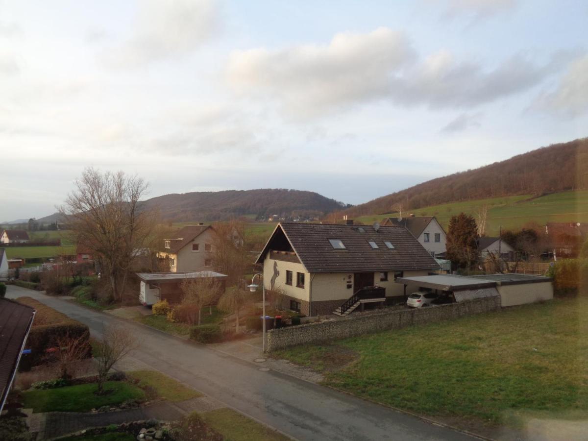 Kapust Hessisch Oldendorf